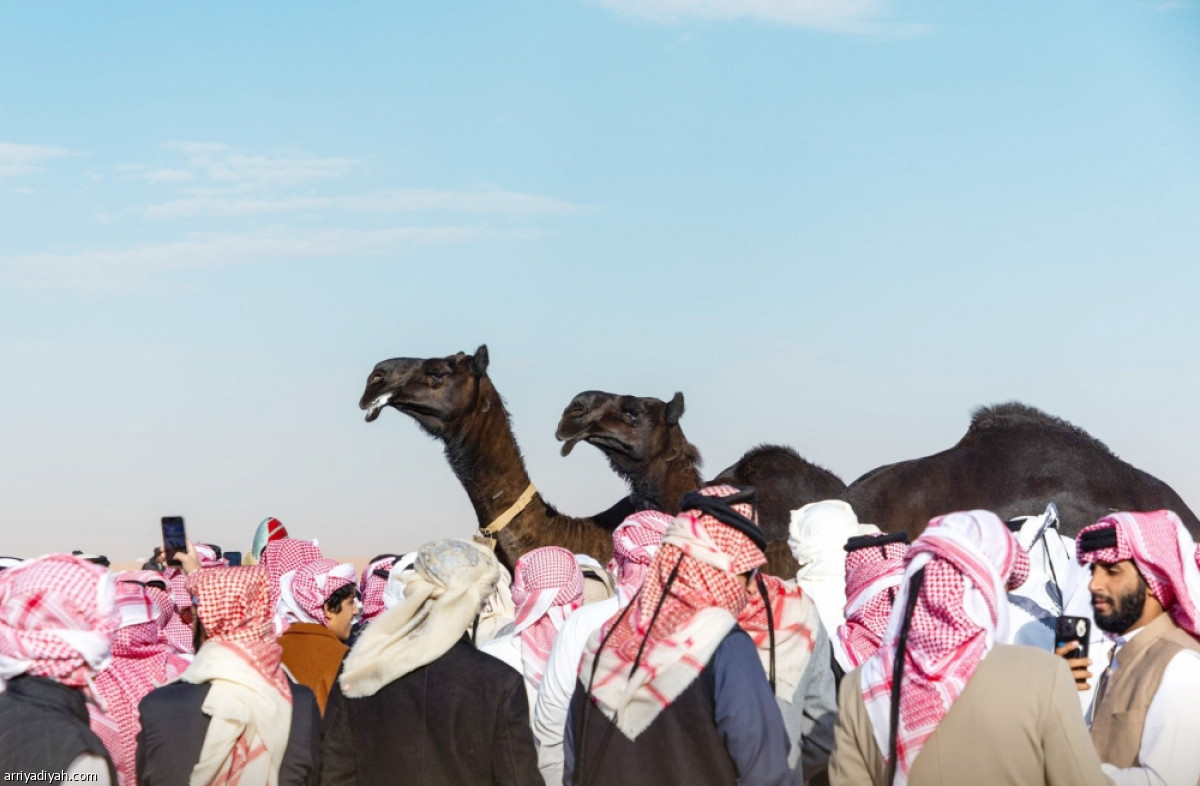 مسيرة الجماهير