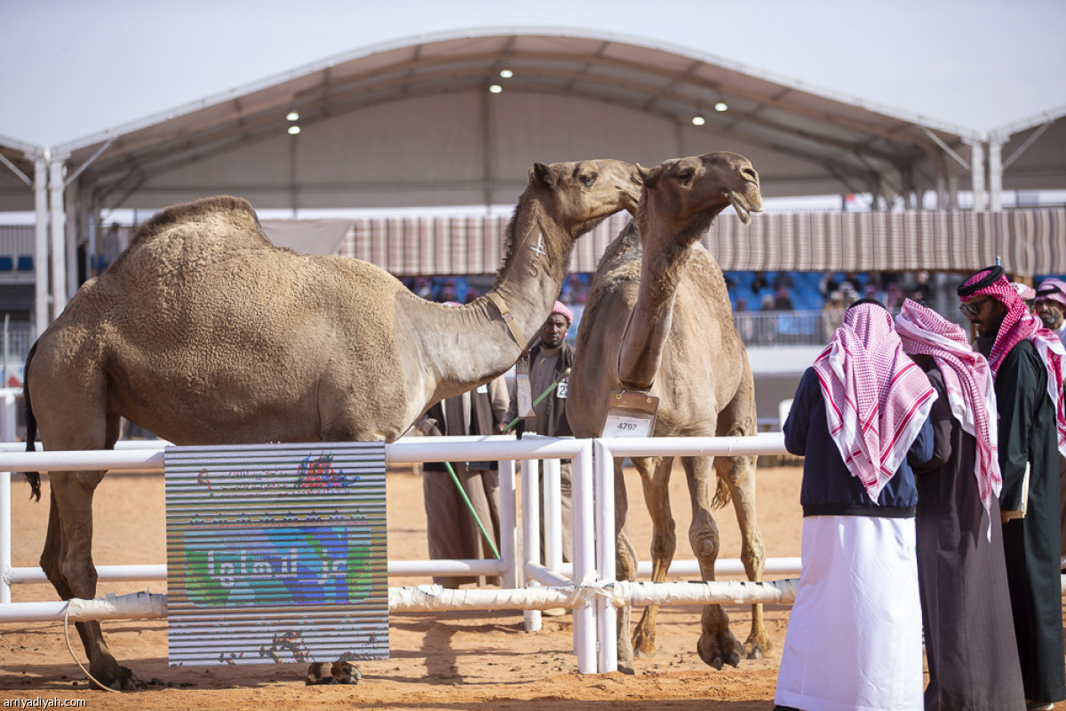 منافسات الجل